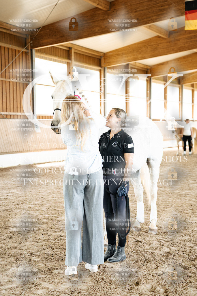 CK703245 | Turnierfotografie Pferdefotografie Trier Rheinland-Pfalz Pferdesport Reitsport Tierfotografie Sportfotografie Pferdevideo Pferdevideografie Equestrianvideography equestrianphotography  - Realized with Pictrs.com