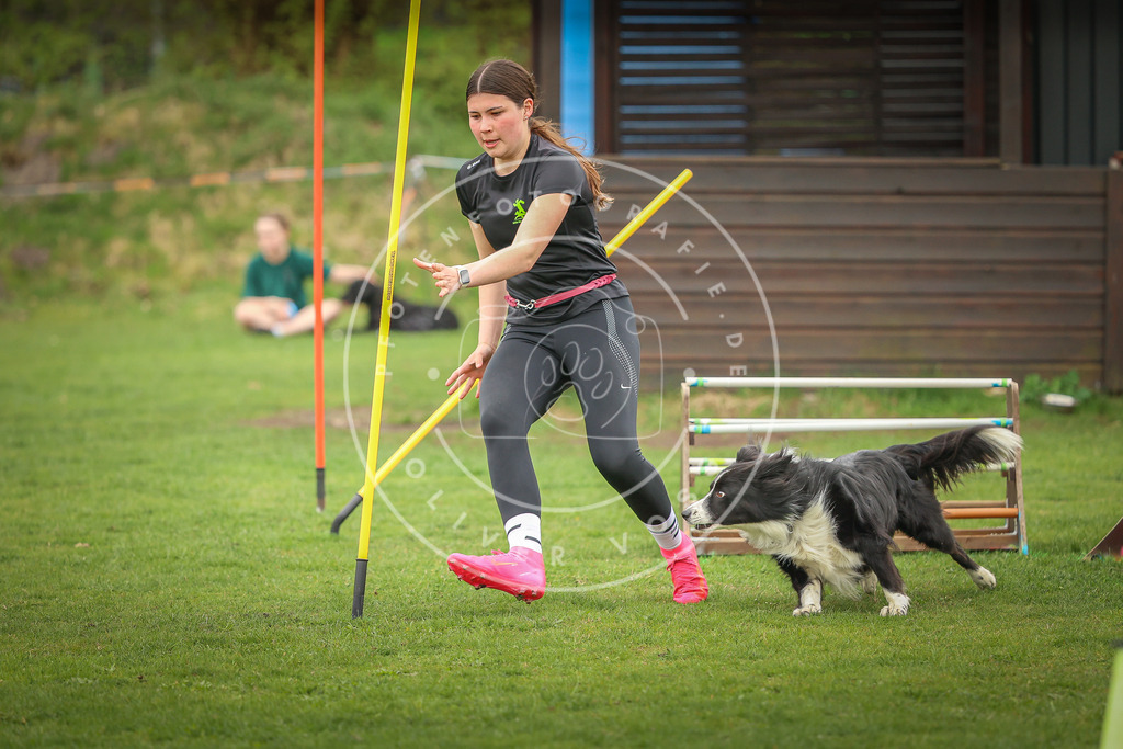 Pfotenfotografie_0L8A0790 | Hundefotografie, Tierfotograf, Pfotenfotografie, Fotoshooting Hund, Hunde Portrait, Hundesport, Hundeportraits, Heideshooting, Hunde, Sportfotograf, Hundefotograf, Turnierhundsport, THS,  - Realisiert mit Pictrs.com