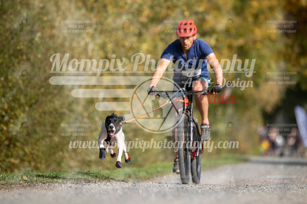 TSB_2023_E2_Bike-35 | PayLife