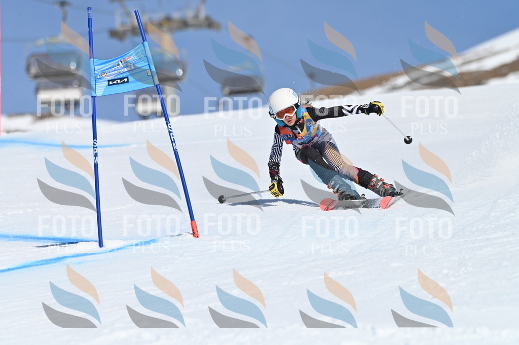 BGV_9100 | holidayphoto