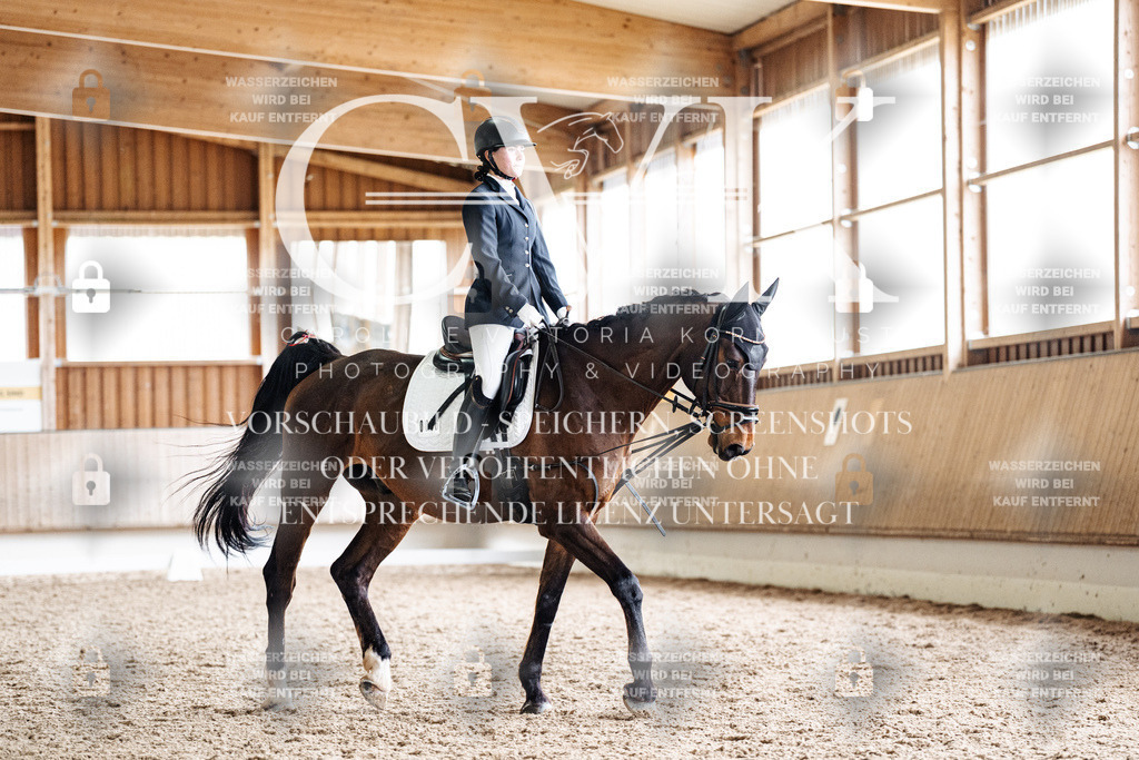 CK901750 | Turnierfotografie Pferdefotografie Trier Rheinland-Pfalz Pferdesport Reitsport Tierfotografie Sportfotografie Pferdevideo Pferdevideografie Equestrianvideography equestrianphotography  - Realisiert mit Pictrs.com