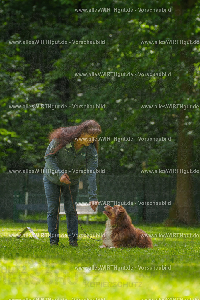 @allesWIRTHgut_Tierfotografie - www.allesWIRTHgut.de - 7R500810 | Professionelle Tierfotografie in Mönchengladbach von Daniel Wirth (allesWIRTHgut). Liebevolle & natürliche Bilder von Hunden & Katzen für unvergessliche Erinnerungen.