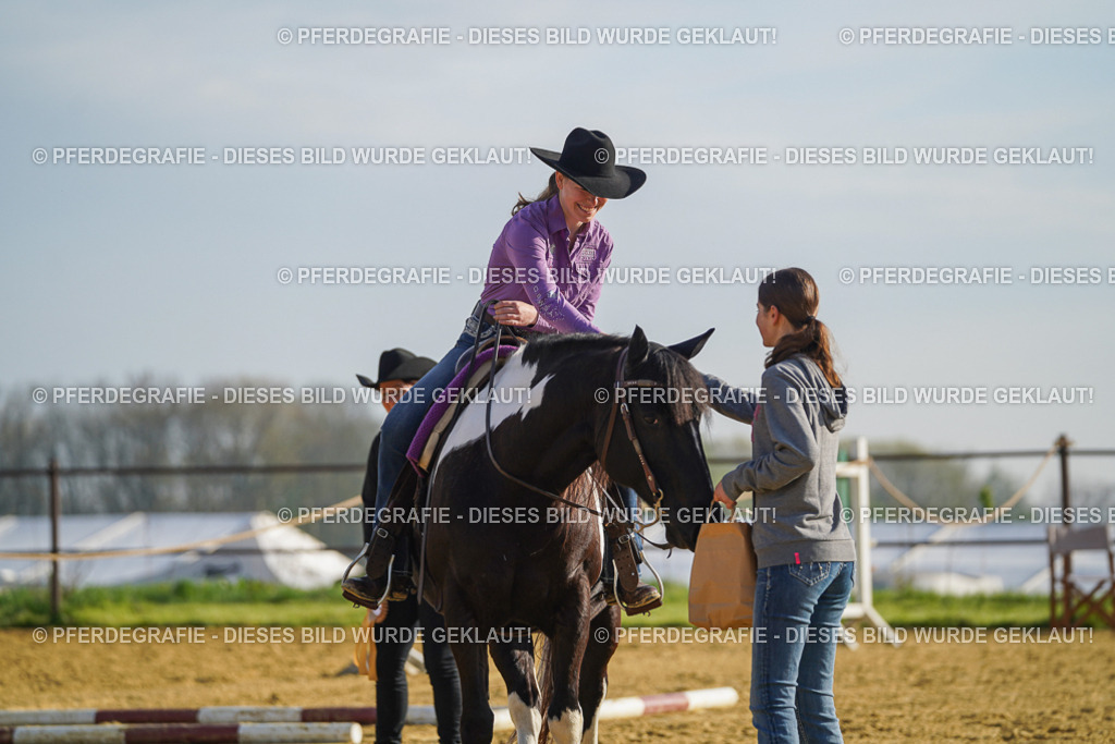 DSC00683 | Pferdegrafie