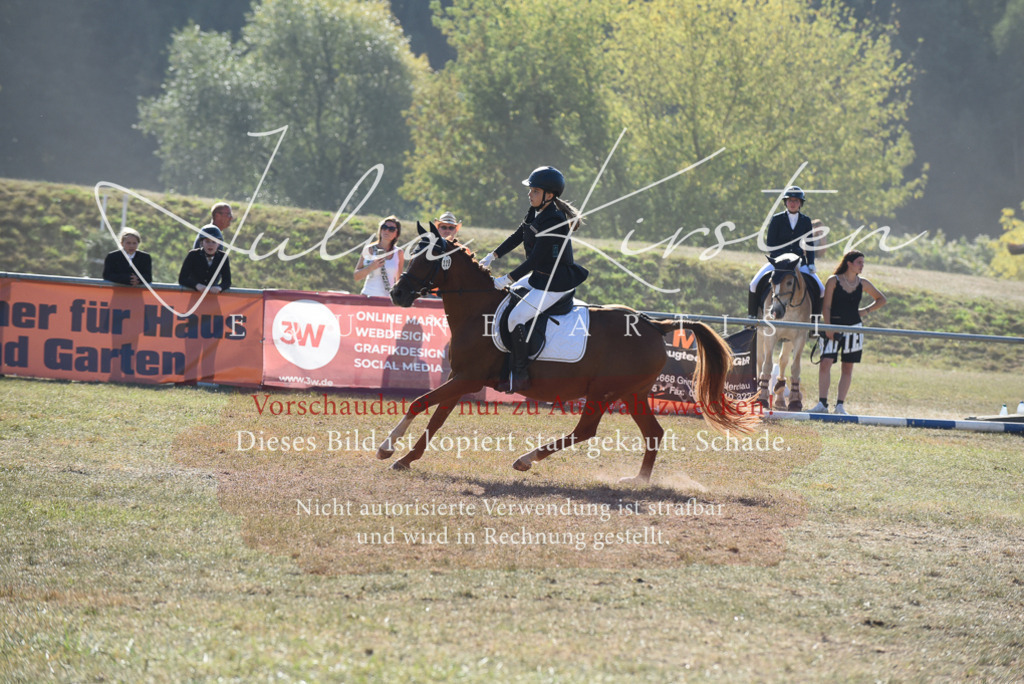 DSC_5918 | Pferde- und Turnierfotografie in Westsachsen. Pferdeportraits, Auftragszeichnungen und intuitive Kunst.