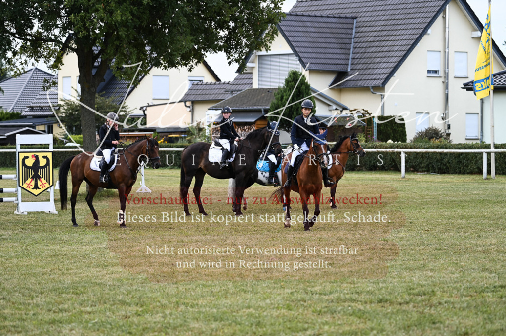 DSC_5762 | Pferde- und Turnierfotografie in Westsachsen. Pferdeportraits, Auftragszeichnungen und intuitive Kunst.