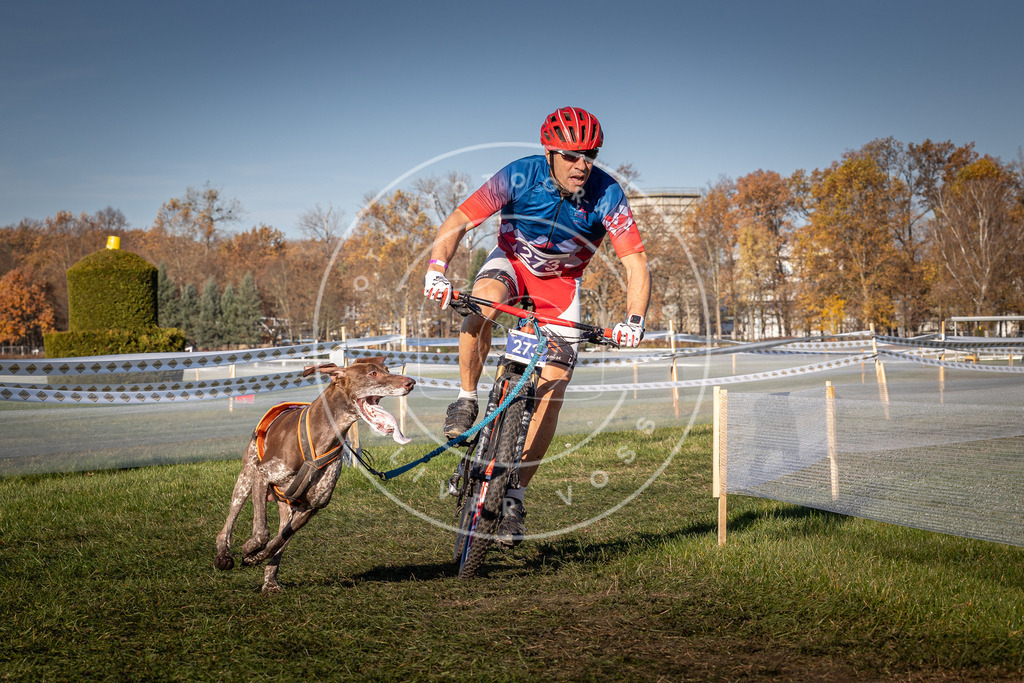 CaniXpix_0L8A5158 | Hundefotografie, Tierfotograf, Pfotenfotografie, Fotoshooting Hund, Hunde Portrait, Hundesport, Hundeportraits, Heideshooting, Hunde, Sportfotograf, Hundefotograf, Turnierhundsport, THS,  - Realisiert mit Pictrs.com