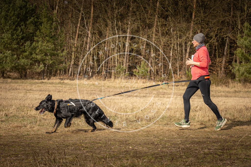 DV3A5496 | Hundefotografie, Tierfotograf, Pfotenfotografie, Fotoshooting Hund, Hunde Portrait, Hundesport, Hundeportraits, Heideshooting, Hunde, Sportfotograf, Hundefotograf, Turnierhundsport, THS,  - Realisiert mit Pictrs.com
