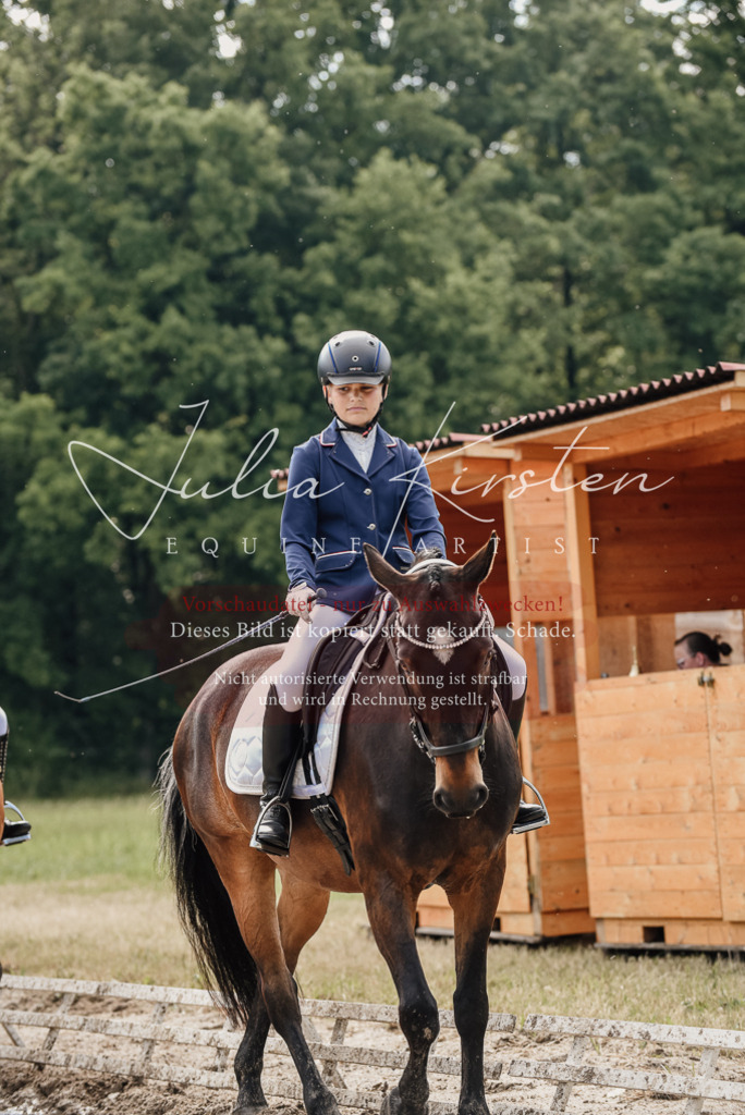 DSC_9097 | Pferde- und Turnierfotografie in Westsachsen. Pferdeportraits, Auftragszeichnungen und intuitive Kunst.