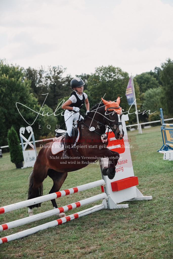 DSC_5731 | Pferde- und Turnierfotografie in Westsachsen. Pferdeportraits, Auftragszeichnungen und intuitive Kunst.