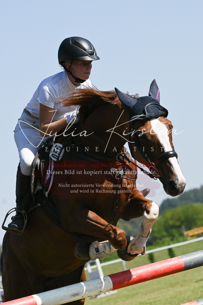 DSC_6400 | Pferde- und Turnierfotografie in Westsachsen. Pferdeportraits, Auftragszeichnungen und intuitive Kunst.