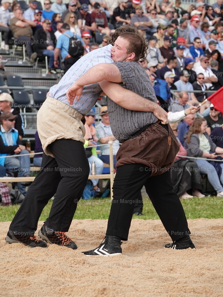 DSC06675 | Schwingen - Realisiert mit Pictrs.com