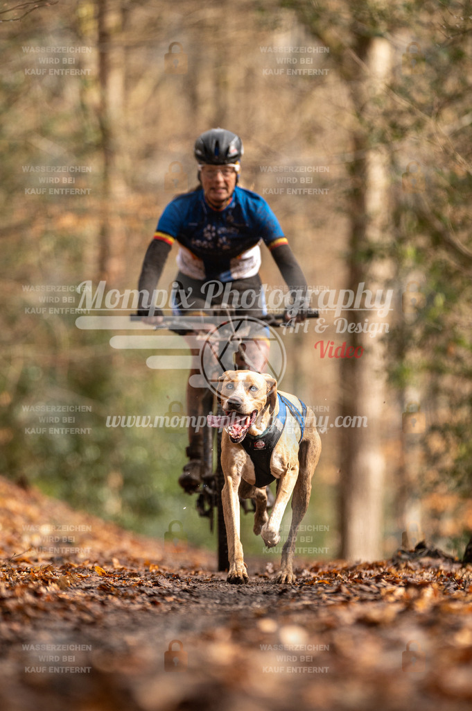 SPA_2023_DIM_Bike-64 | PayLife