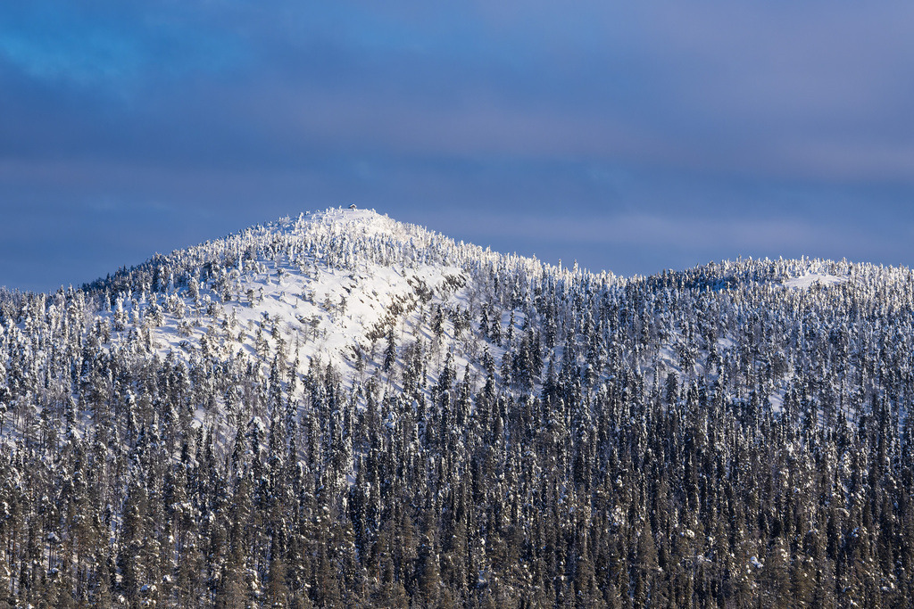 Landschaft mit Schnee im Winter in Ruka, Finnland | Landschaft mit Schnee im Winter in Ruka, Finnland.