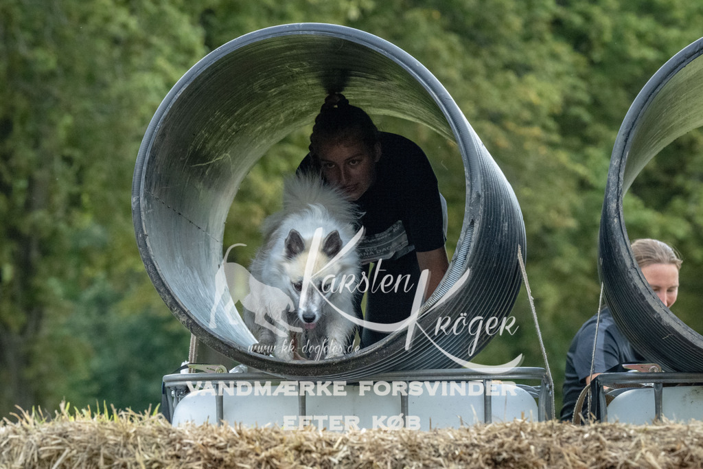 1046_ZZ93094 | kk-dogfotos