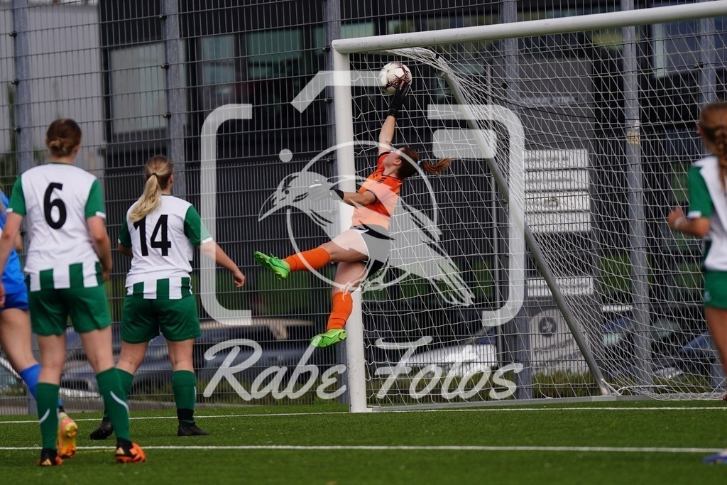 SON06355 | rabefotos