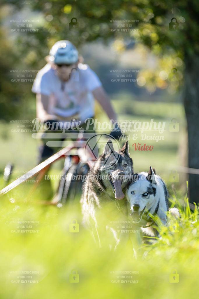 MompixPhotography_20TSB_E3_Kart-13 | PayLife