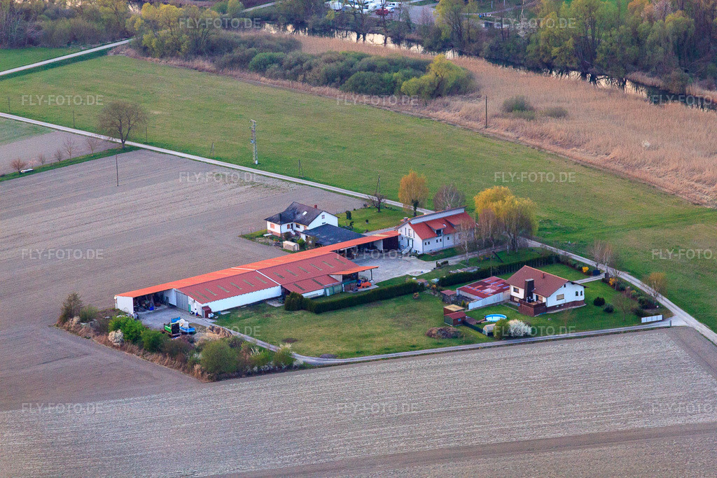 Luftbild: Aussiedlerhof am Altrhein bei Neupotz in Neupotz im Bundesland Rheinland-Pfalz in Deutschland. Foto: IMG_63515.jpg vom 28.03.2014 durch Werner Riehm/FLY-FOTO.de