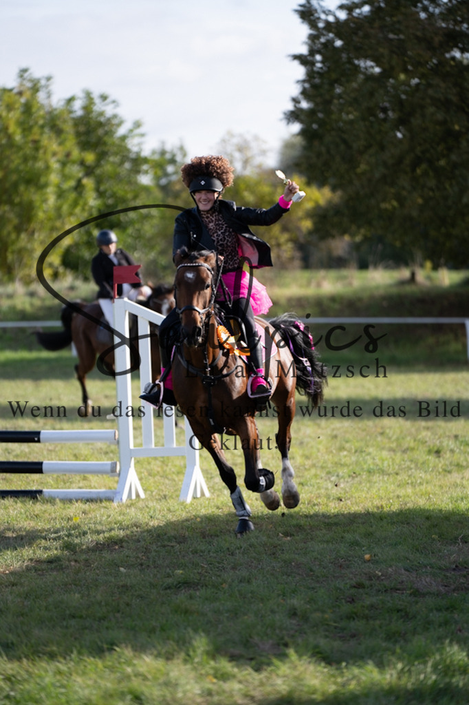 A7V06603 | Pferdefotograf