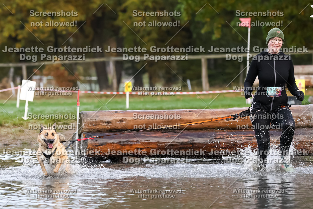 Dog Paparazzi - Strongdog 10-25-6423 | Dog Paparazzi Jeanette Grottendiek Fotografie & Videografie - Realisiert mit Pictrs.com