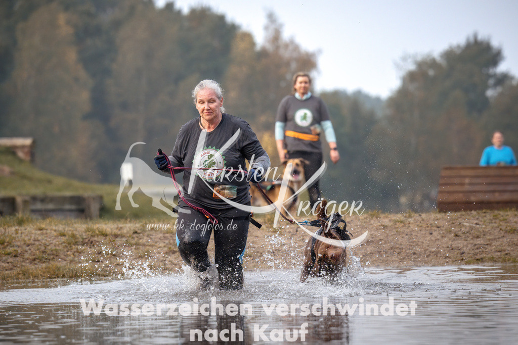 0825_ZZ91351 | kk-dogfotos