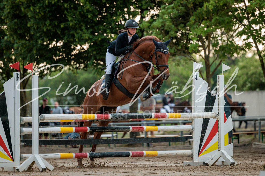 20260531-_3LI3609 | Tierfotografie Pferde, Hunde, Katzen, Haustiere.
Turnierfotografie Reitturniere, Reiten, Springreiten, Dressur in Hanau, dem Main-Kinzig-Kreis und dem Rhein-Main- Gebiet um Frankfurt
