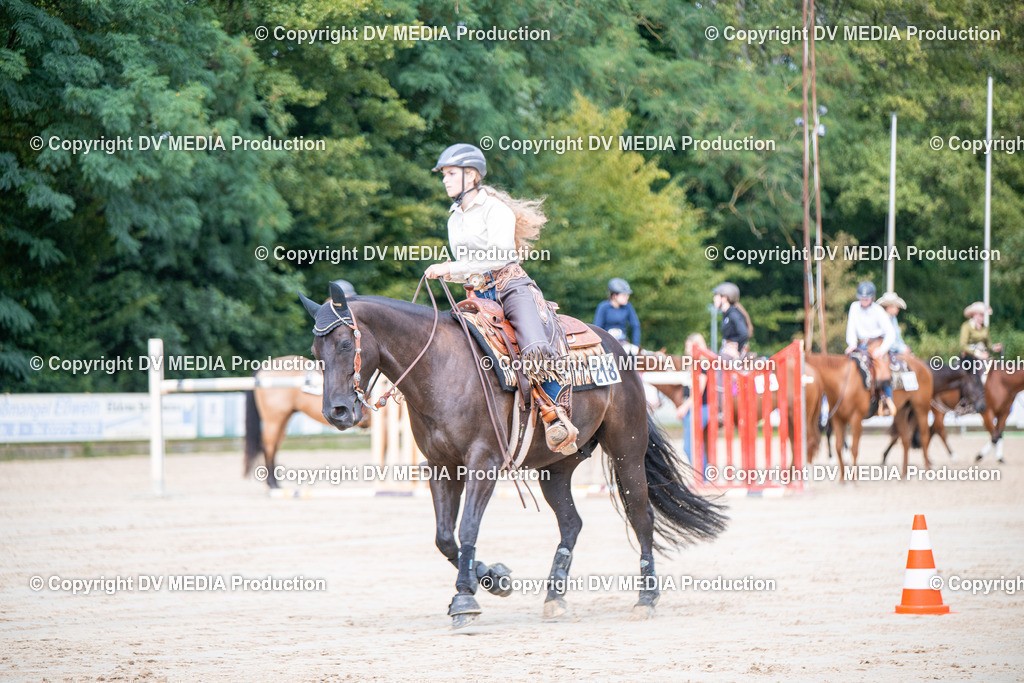 ZS3_5544 | dv-media-shop - Realisiert mit Pictrs.com