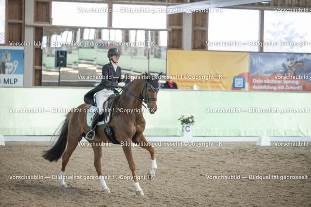 _D5A0080 | Emotionale Pferde- & People-Fotografie rund um Heidelberg, Leimen & Umgebung. Natürliche Fotos von Pferd, Mensch & Familie. Jetzt Termin sichern!