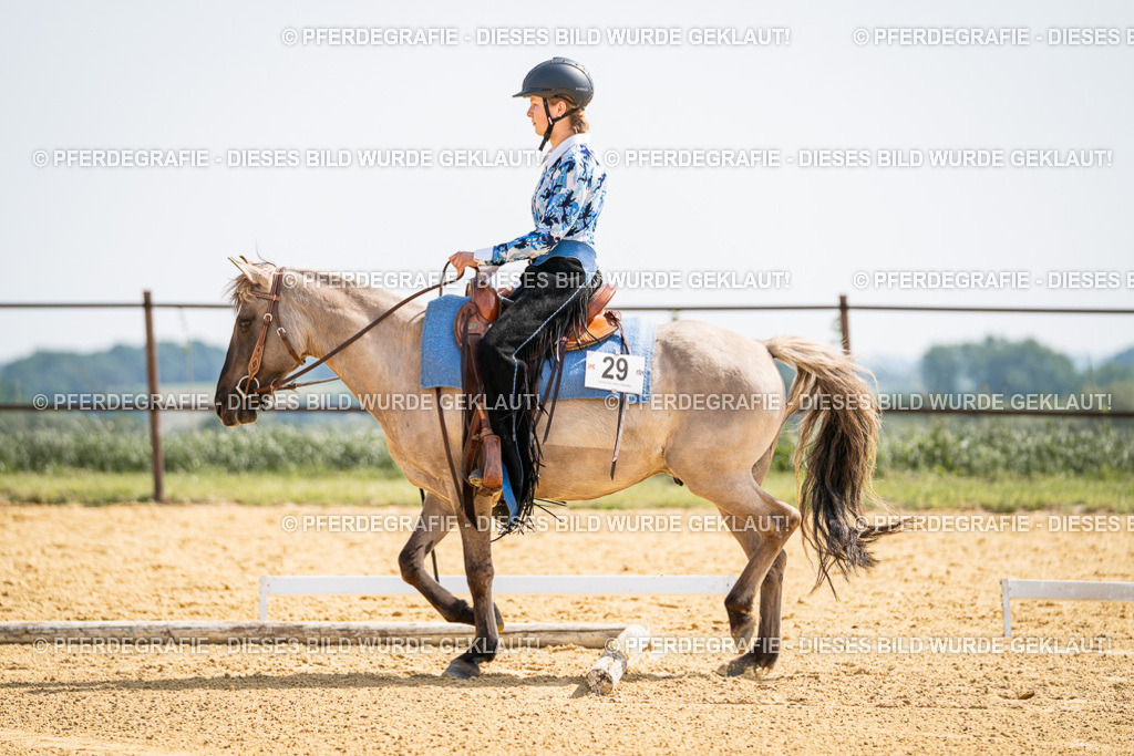 DSC09711 | Pferdegrafie