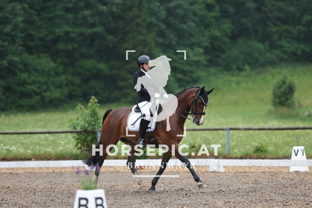 0P6A9161 | Willkommen bei Brunnmayr - Design & Fotografie – Ihrem Spezialisten für Reitturniere und Pferdeveranstaltungen in Oberösterreich, Salzburg und Bayern! Seit über 17 Jahren sind wir leidenschaftlich dabei.