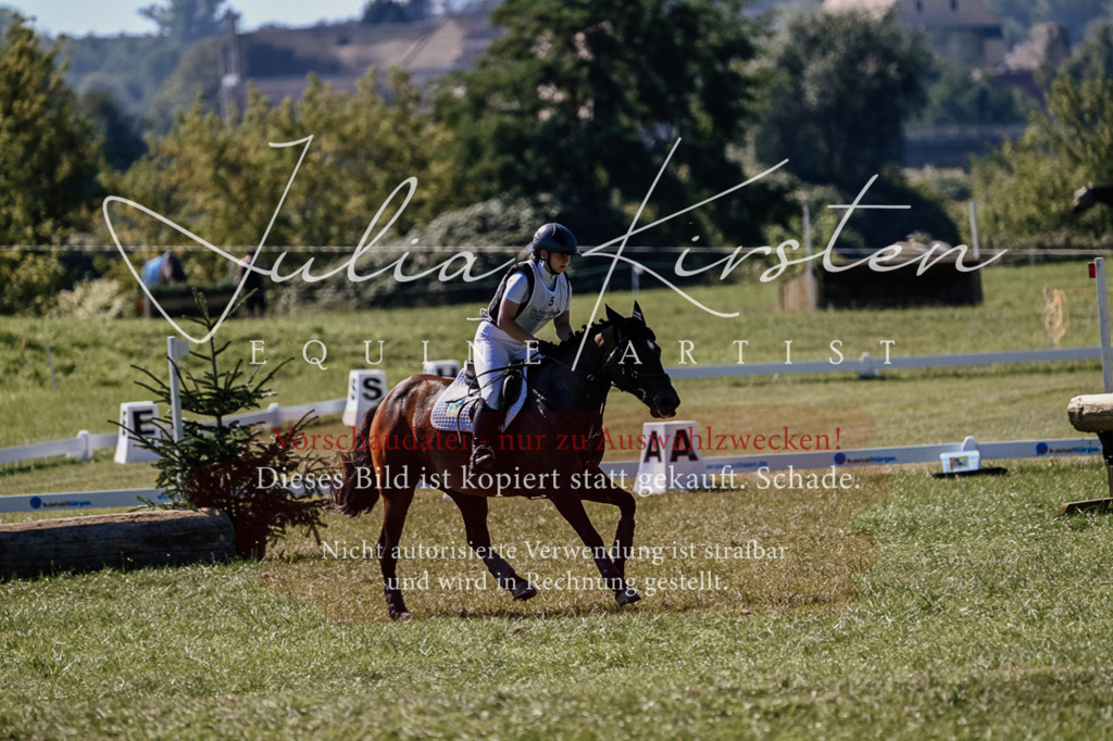 DSC_1505 | Pferde- und Turnierfotografie in Westsachsen. Pferdeportraits, Auftragszeichnungen und intuitive Kunst.