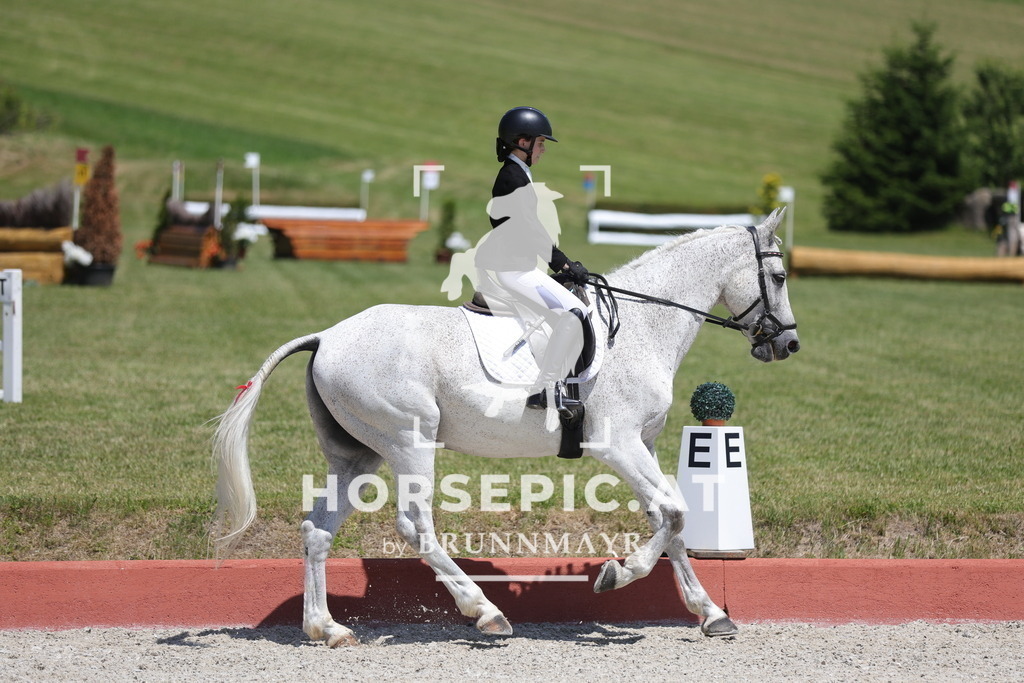 0P6A6400 | Willkommen bei Brunnmayr - Design & Fotografie – Ihrem Spezialisten für Reitturniere und Pferdeveranstaltungen in Oberösterreich, Salzburg und Bayern! Seit über 17 Jahren sind wir leidenschaftlich dabei.