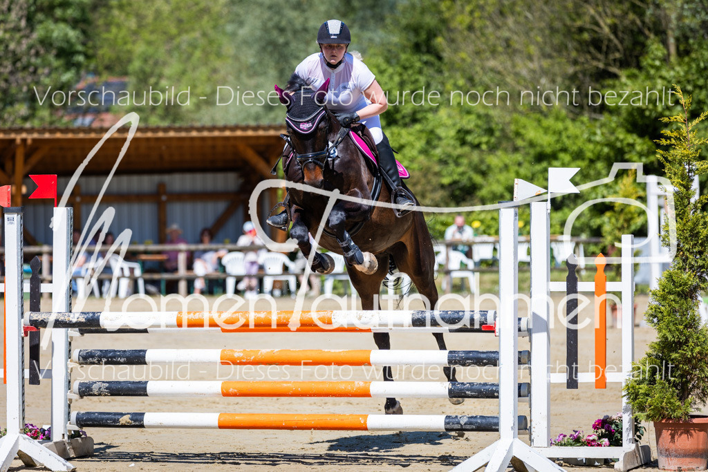 Donop24-ASprmstA-010 | MomenTaufnahmen Pferdesportfotos