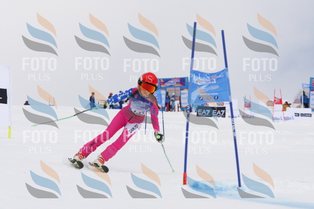 _W1G2352 | holidayphoto