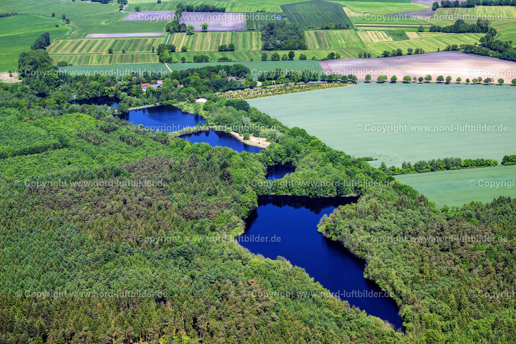 Oldendorf_Sunde_Horsterbeck_ELS_7727 | OLDENDORF 28.05.2023 See- Uferbereichen im Wald in Sunde bei Oldendorf im Bundesland Niedersachsen, Deutschland. // Lake shore areas in the forest in Sunde near Oldendorf in the state Lower Saxony, Germany. Foto: Martin Elsen