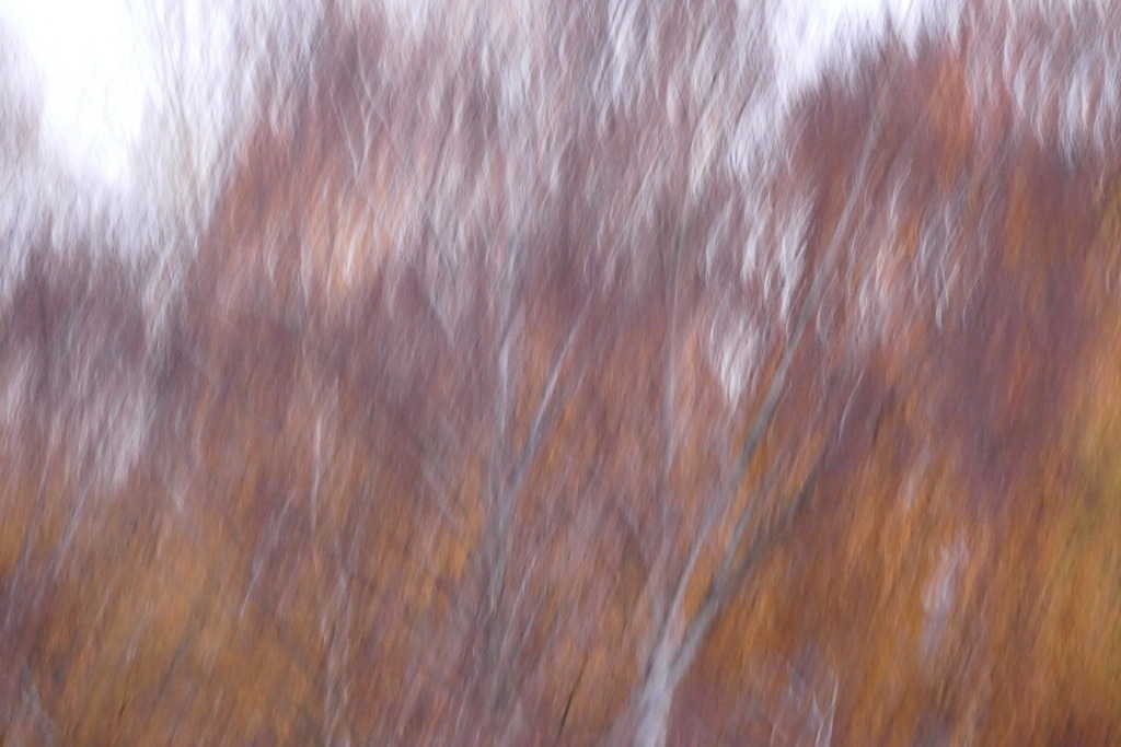 P4140018 | Annaeherungen - Realisiert mit Pictrs.com