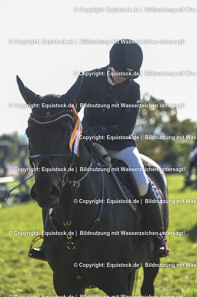 20230909_12_Stilspringen_A_0223 | equistock