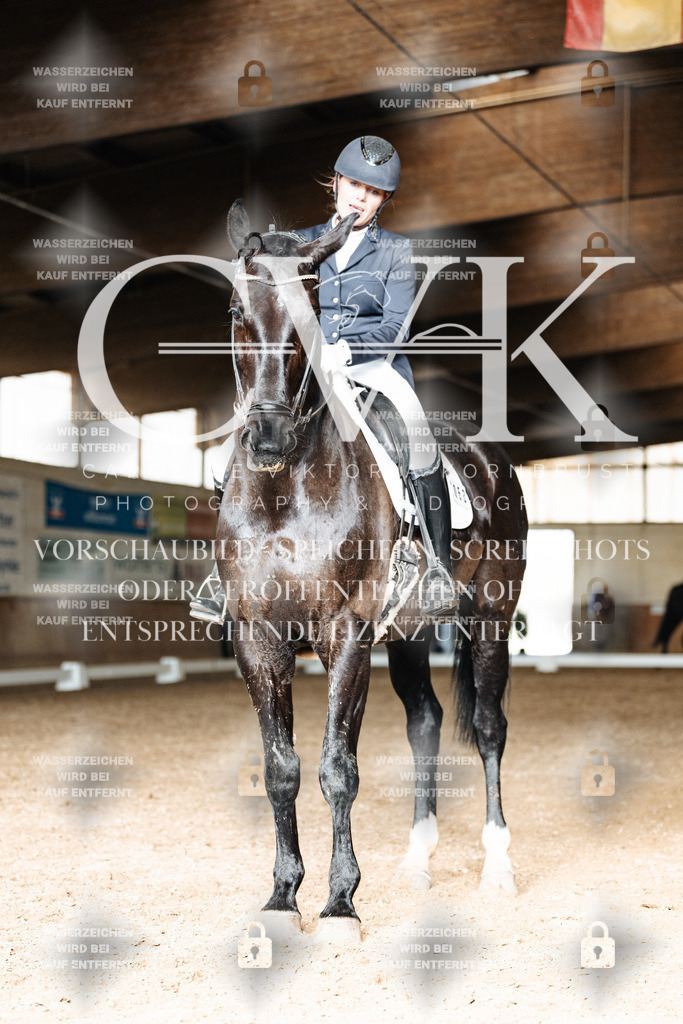 CK902241 | Turnierfotografie Pferdefotografie Trier Rheinland-Pfalz Pferdesport Reitsport Tierfotografie Sportfotografie Pferdevideo Pferdevideografie Equestrianvideography equestrianphotography  - Realisiert mit Pictrs.com