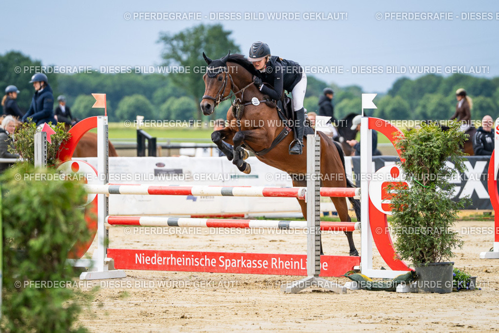 DSC03871 | Pferdegrafie