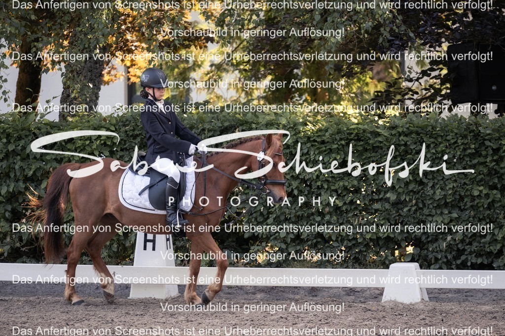 2025_05_31_DSCF2643 | People- und Tierfotografie, Imageaufnahmen, Veranstaltungsfotografie und Wandbilder aus der Natur ★ Made in Germany ✔️ Druck + Downloads ✔️ Naturfotografie in Top Qualität ★ schneller Versand, weltweite Lieferung! - Realisiert mit Pictrs.com