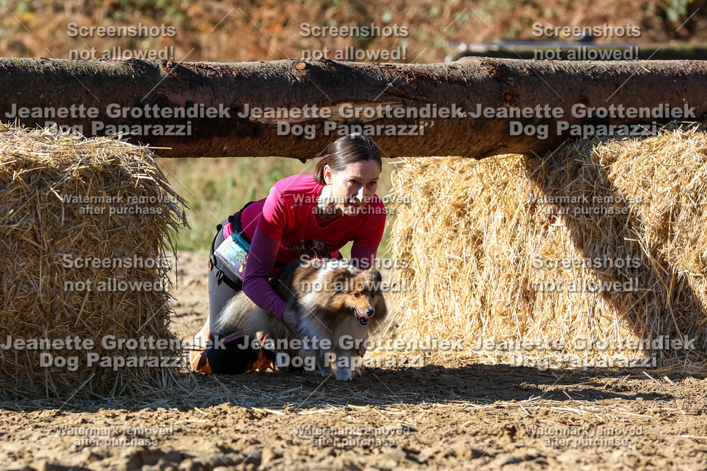 Dog Paparazzi - Strongdog 10-25-2488 | Dog Paparazzi Jeanette Grottendiek Fotografie & Videografie - Realisiert mit Pictrs.com