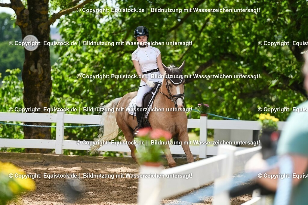 20230715_09_Dressur-WB_0484 | equistock