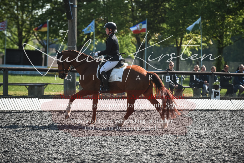 DSC_8743 | Pferde- und Turnierfotografie in Westsachsen. Pferdeportraits, Auftragszeichnungen und intuitive Kunst.