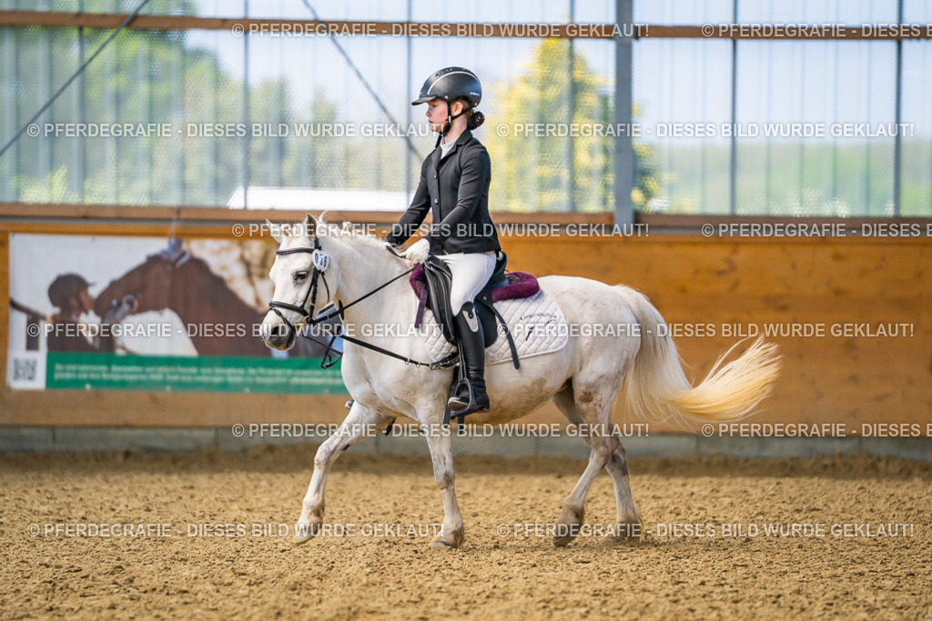 DSC02479 | Pferdegrafie