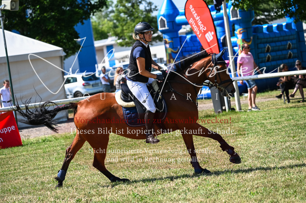 DSC_1423 | Pferde- und Turnierfotografie in Westsachsen. Pferdeportraits, Auftragszeichnungen und intuitive Kunst.