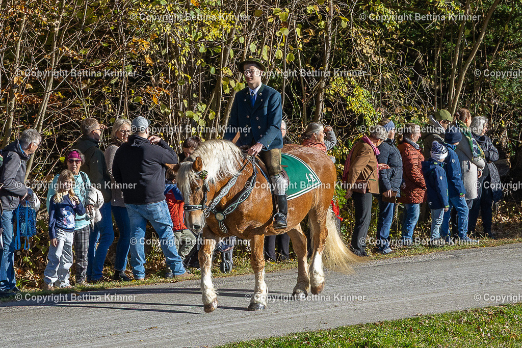 LBT25-335 | foto-bettina-krinner - Realisiert mit Pictrs.com