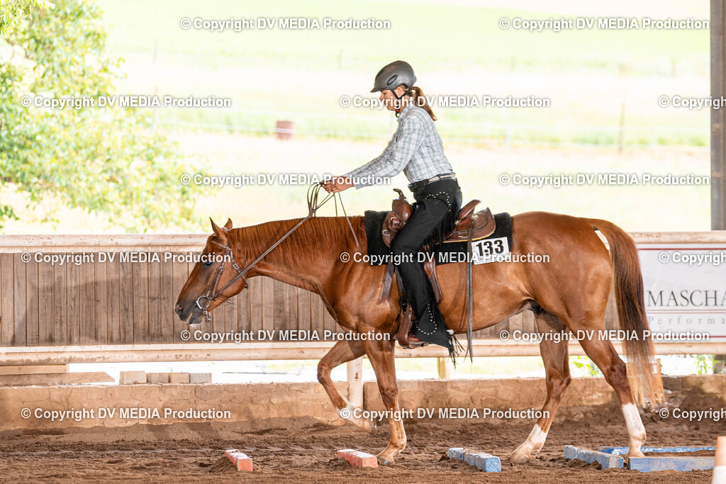 Erbach Tag 2-264 | dv-media-shop - Realisiert mit Pictrs.com