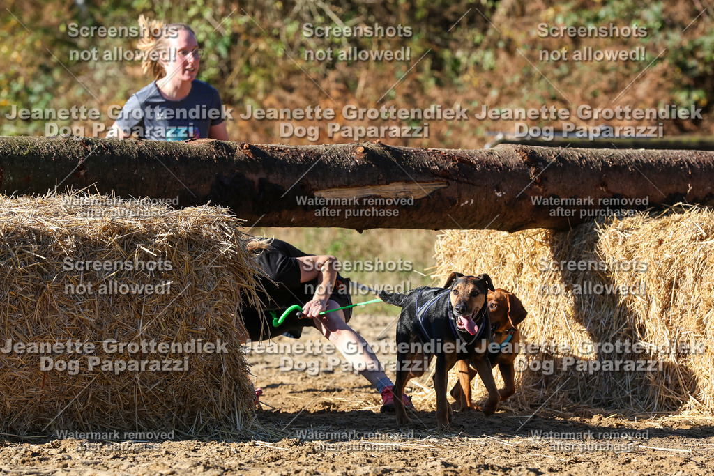 Dog Paparazzi - Strongdog 10-25-1927 | Dog Paparazzi Jeanette Grottendiek Fotografie & Videografie - Realisiert mit Pictrs.com