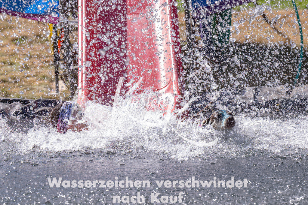 1148_ZZ90342 | kk-dogfotos