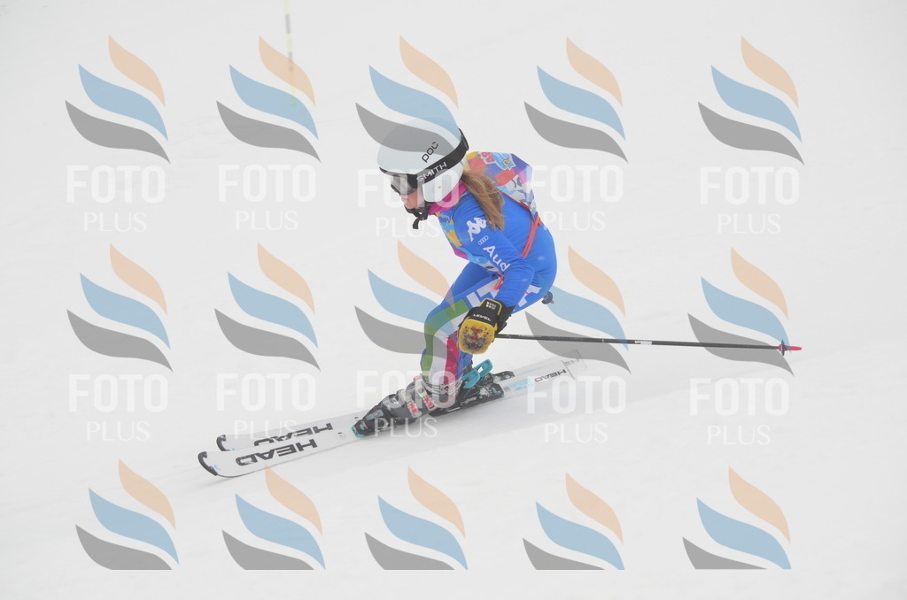 C1289 | holidayphoto