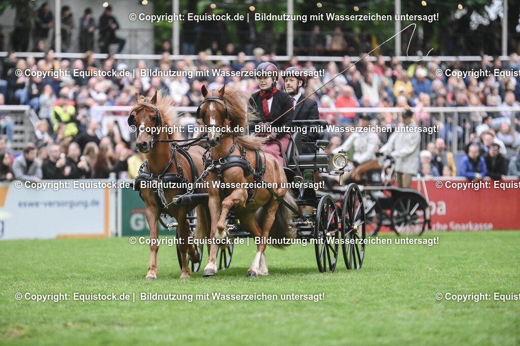 TS_20240517_Lange-Pferdenacht_0041 | Foto: Thomas Hartig